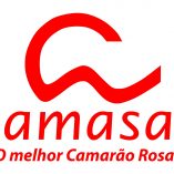 amasa_logo_page-0001